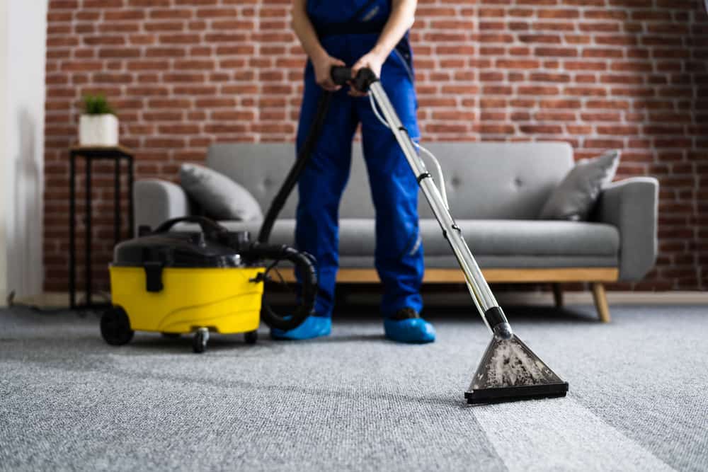 Regular Carpet Cleaning Schedule