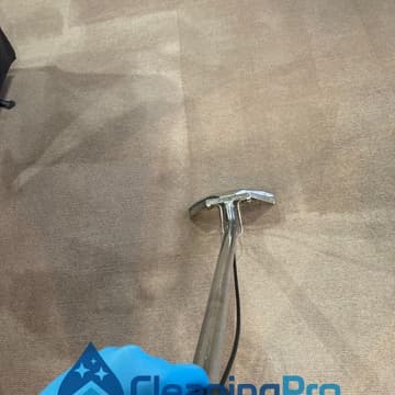 Carpet Cleaning Auckland