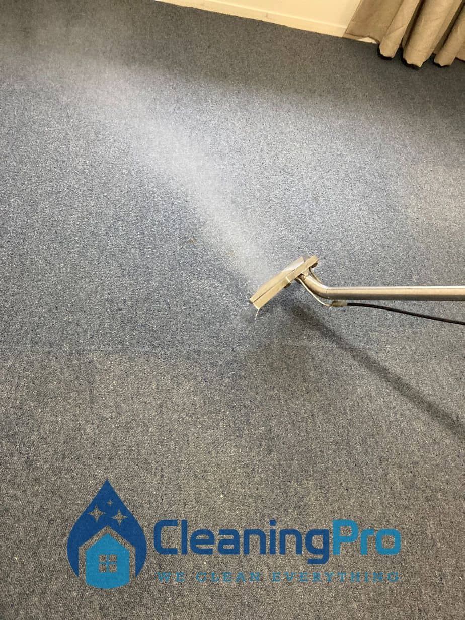 Residential Carpet Cleaning Results
