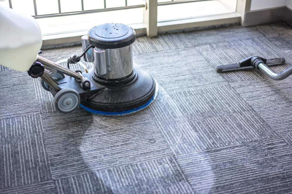Extending Carpet Lifespan with Professional Cleaning