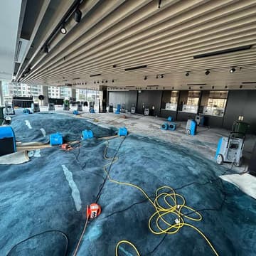 After-Flood Cleaning Auckland